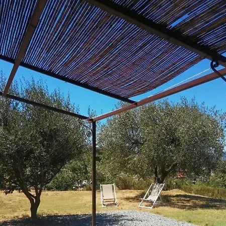 Lazzarini Rosella Imperia