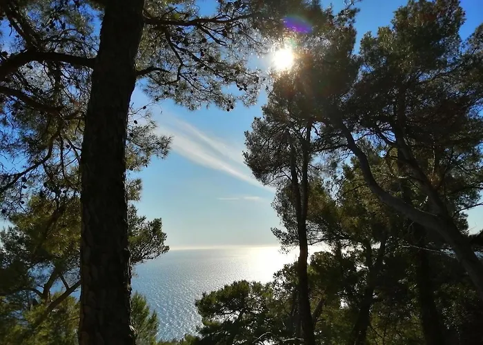 Lazzarini Rosella * Imperia