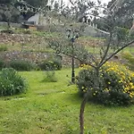 Hébergement de vacances Lazzarini Rosella *