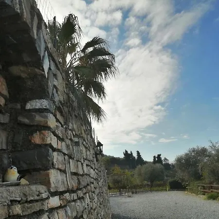 Lazzarini Rosella 因佩里亚