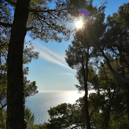 Lazzarini Rosella * 因佩里亚