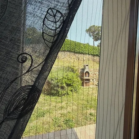 Lazzarini Rosella *