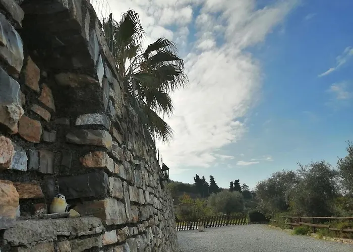 Lazzarini Rosella 因佩里亚